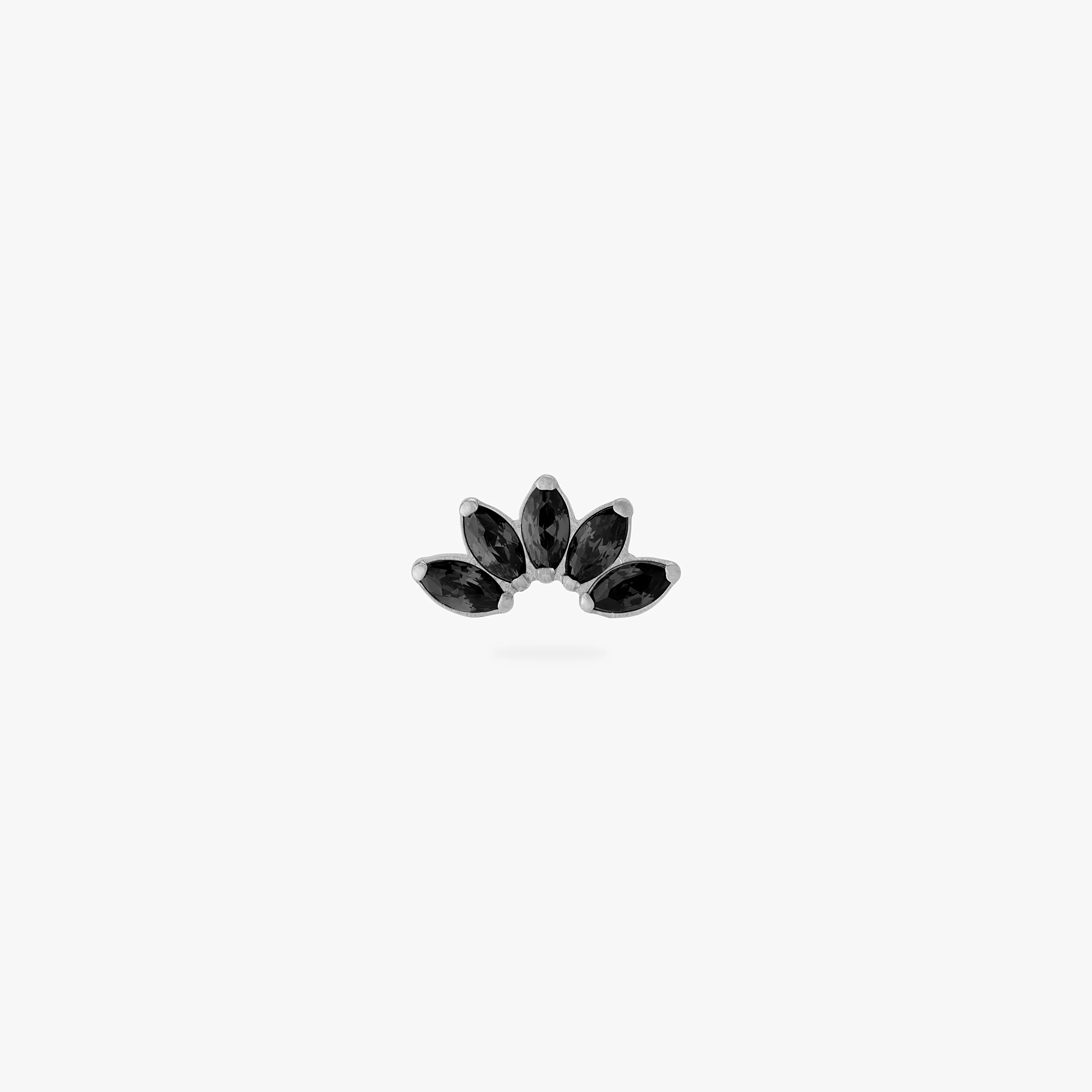 Titanium Crown - Image 5